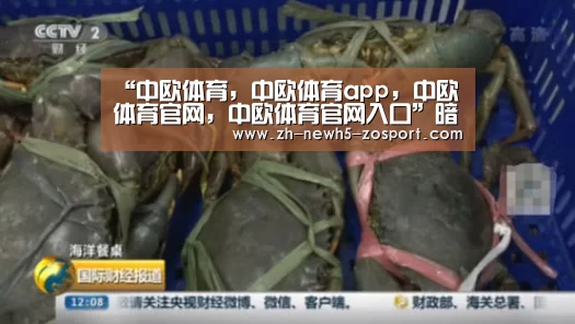 中欧体育，中欧体育app，中欧体育官网，中欧体育官网入口