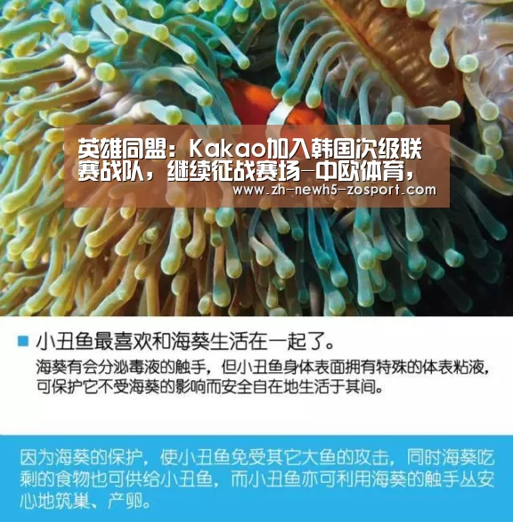 英雄同盟:Kakao加入韩国次级联赛战队,继续征战赛场-中欧体育,中欧体育app,中欧体育官网,中欧体育官网入口(图3) 中欧体育,中欧体育app,中欧体育官网,中欧体育官网入口